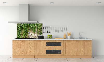 Panneau crédence cuisine Lierre vert