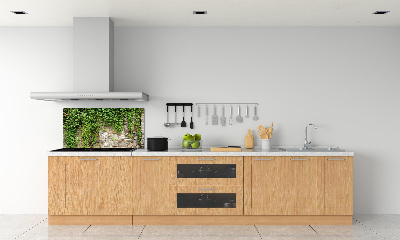 Panneau crédence cuisine Lierre vert