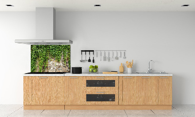Panneau crédence cuisine Lierre vert