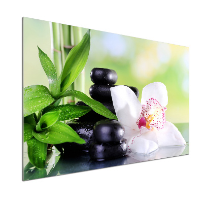 Crédence cuisine en verre trempé Fleur d'orchidée