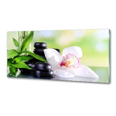Crédence cuisine en verre trempé Fleur d'orchidée