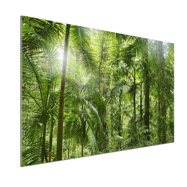 Crédence de cuisine en verre Forêt tropicale