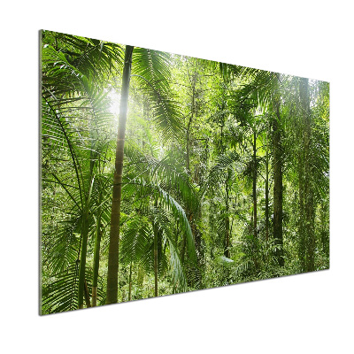 Crédence de cuisine en verre Forêt tropicale
