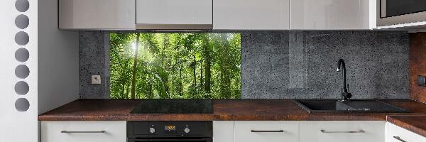 Crédence de cuisine en verre Forêt tropicale