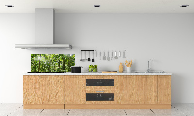 Crédence de cuisine en verre Forêt tropicale