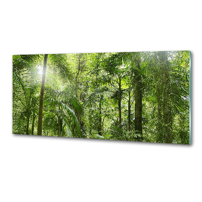 Crédence de cuisine en verre Forêt tropicale