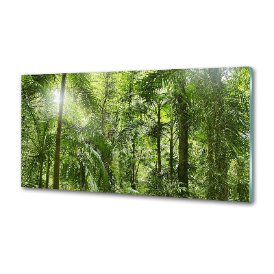 Crédence de cuisine en verre Forêt tropicale