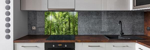 Crédence de cuisine en verre Forêt tropicale