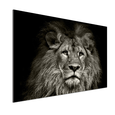 Panneaux muraux cuisine Lion