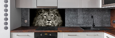Panneaux muraux cuisine Lion