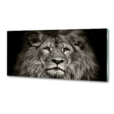 Panneaux muraux cuisine Lion