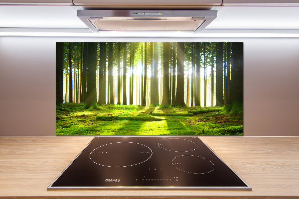 Panneau crédence cuisine Forêt au soleil