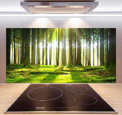 Panneau crédence cuisine Forêt au soleil