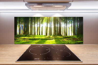 Panneau crédence cuisine Forêt au soleil