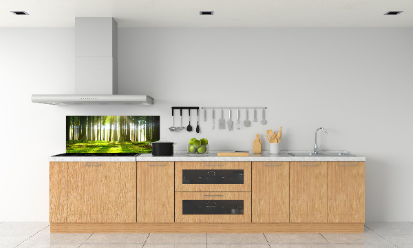 Panneau crédence cuisine Forêt au soleil
