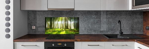 Panneau crédence cuisine Forêt au soleil