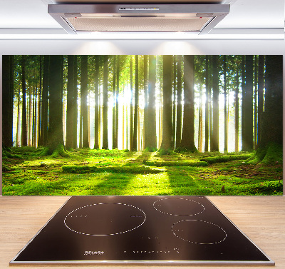 Panneau crédence cuisine Forêt au soleil