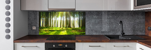 Panneau crédence cuisine Forêt au soleil