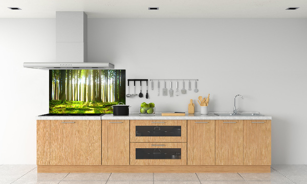 Panneau crédence cuisine Forêt au soleil