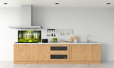 Panneau crédence cuisine Forêt au soleil