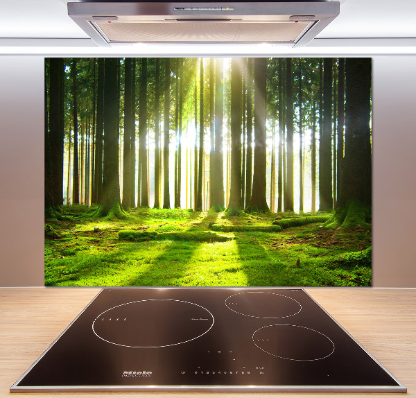 Panneau crédence cuisine Forêt au soleil