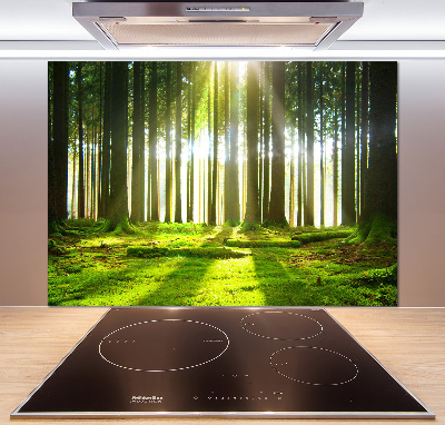 Panneau crédence cuisine Forêt au soleil