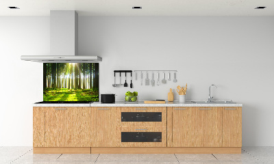 Panneau crédence cuisine Forêt au soleil