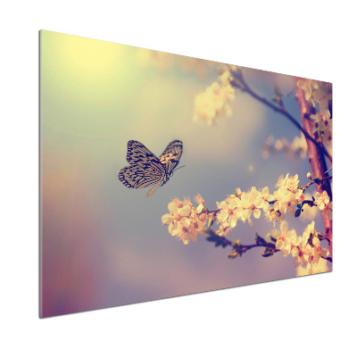 Crédence en verre avec motif Fleur de cerisier et papillon
