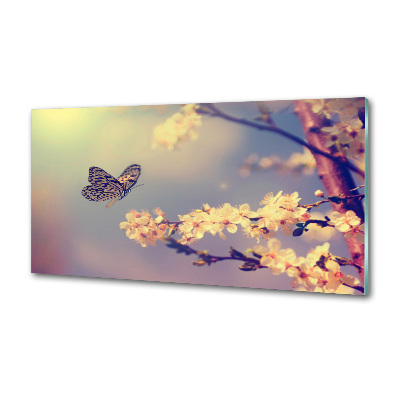 Crédence en verre avec motif Fleur de cerisier et papillon