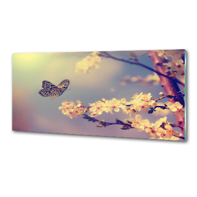 Crédence en verre avec motif Fleur de cerisier et papillon
