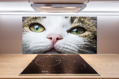 Panneau crédence cuisine Yeux de chat verts