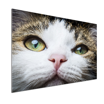 Panneau crédence cuisine Yeux de chat verts