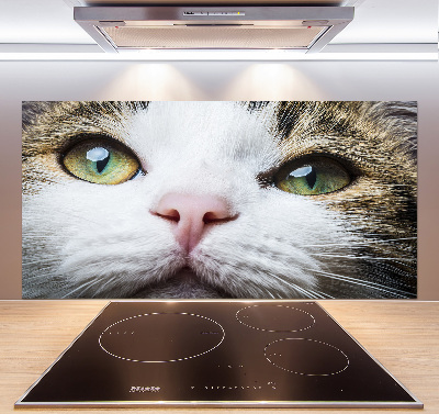 Panneau crédence cuisine Yeux de chat verts