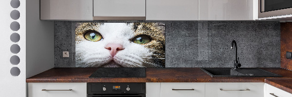 Panneau crédence cuisine Yeux de chat verts