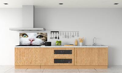 Panneau crédence cuisine Yeux de chat verts
