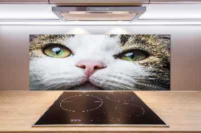 Panneau crédence cuisine Yeux de chat verts