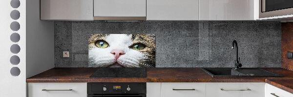 Panneau crédence cuisine Yeux de chat verts