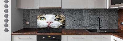 Panneau crédence cuisine Yeux de chat verts