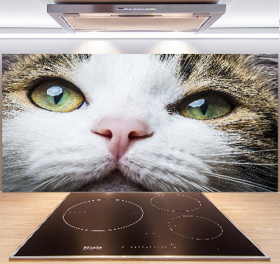 Panneau crédence cuisine Yeux de chat verts