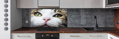 Panneau crédence cuisine Yeux de chat verts