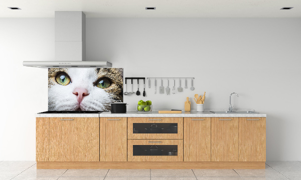 Panneau crédence cuisine Yeux de chat verts