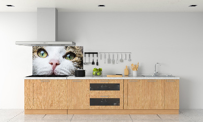 Panneau crédence cuisine Yeux de chat verts