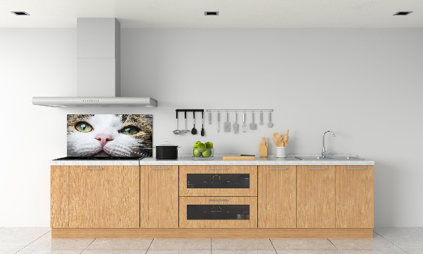 Panneau crédence cuisine Yeux de chat verts
