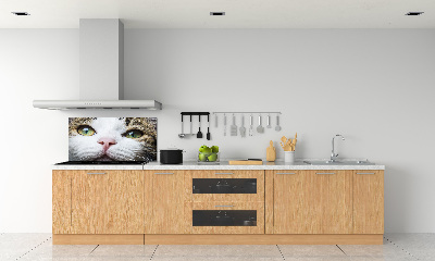 Panneau crédence cuisine Yeux de chat verts
