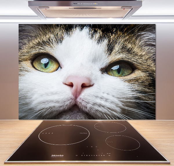 Panneau crédence cuisine Yeux de chat verts