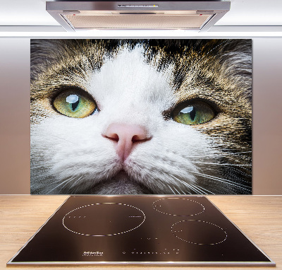 Panneau crédence cuisine Yeux de chat verts