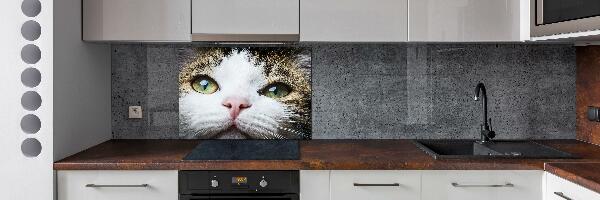 Panneau crédence cuisine Yeux de chat verts