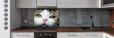 Panneau crédence cuisine Yeux de chat verts