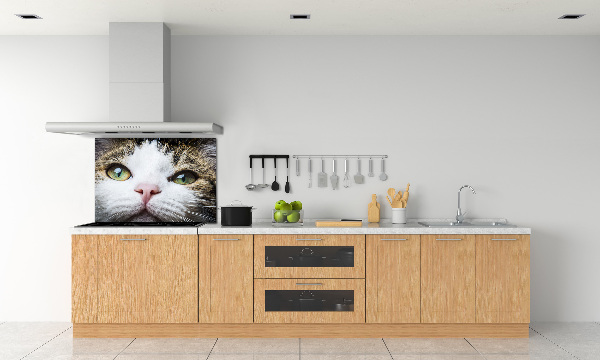 Panneau crédence cuisine Yeux de chat verts