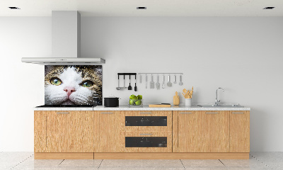 Panneau crédence cuisine Yeux de chat verts